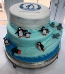 HPSC 70th Cake